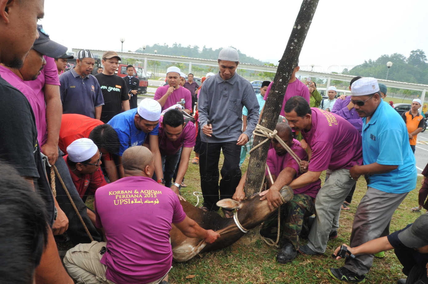 PRO15 150 KORBAN HAS 6749